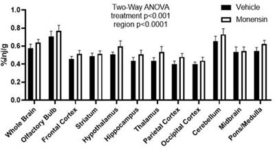 Endocytosis of insulin at the blood-brain barrier